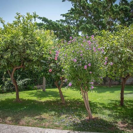Piso con Jardín Apartamento Málaga Exterior foto
