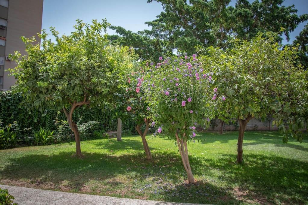 Piso con Jardín Apartamento Málaga Exterior foto